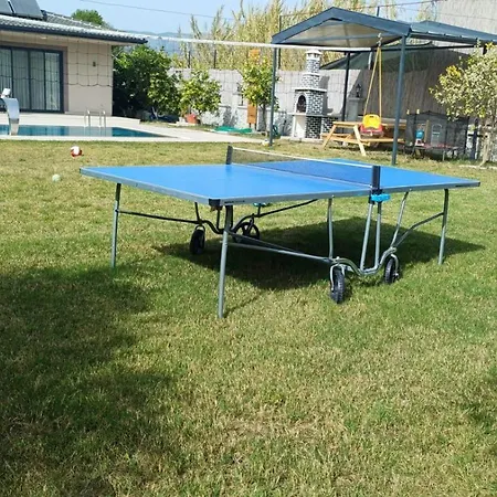 Ayla フェティエ