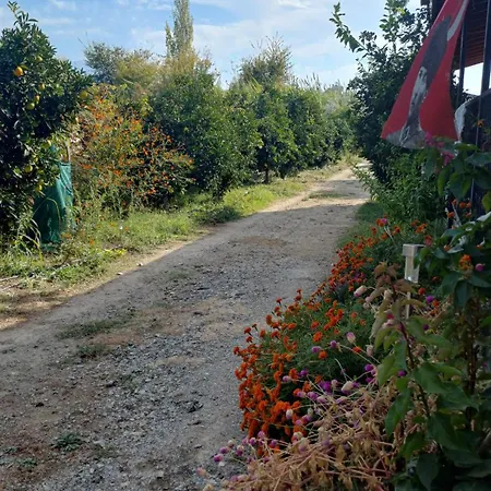 빌라 Ayla 페티예